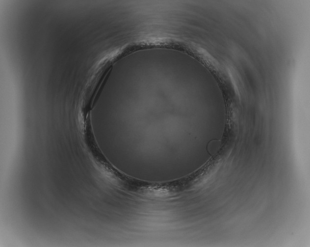 X0000112530640200908241507