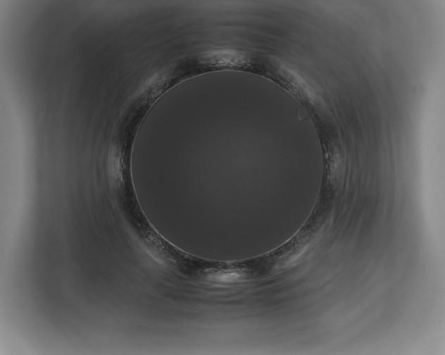 X0000112530643200908241507