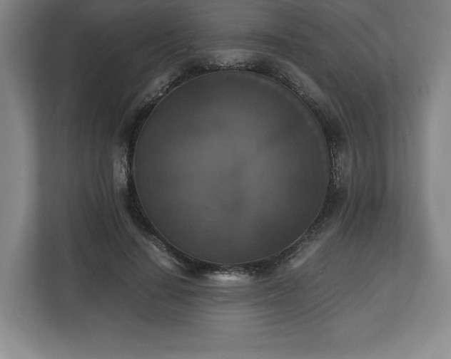X0000112530644200908241507