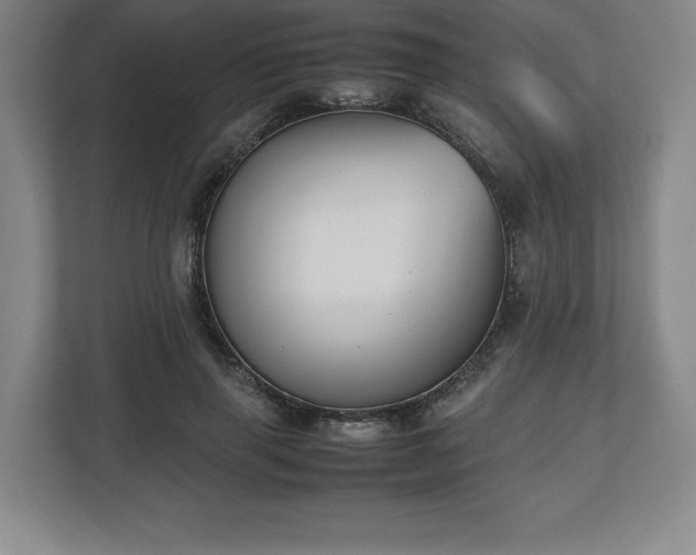 X0000112530645200908241507