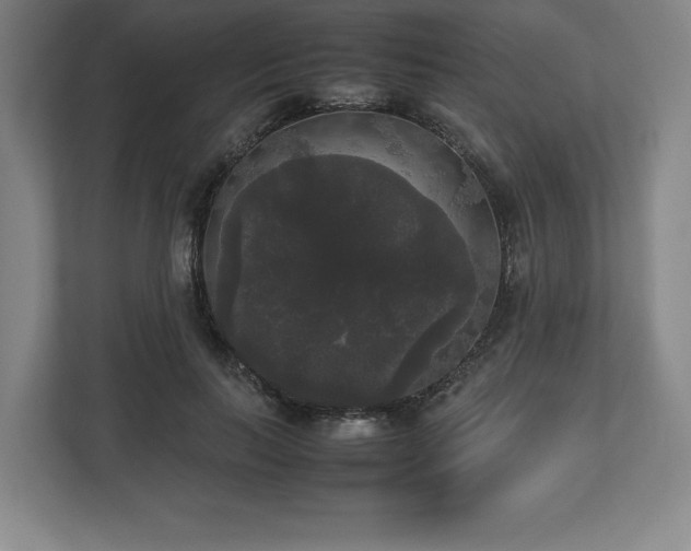 X0000112530647200908241507