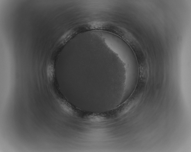 X0000112530648200908241507