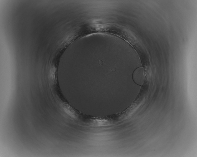 X0000112530650200908241507