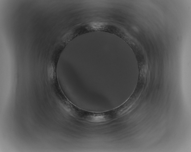 X0000112530651200908241507