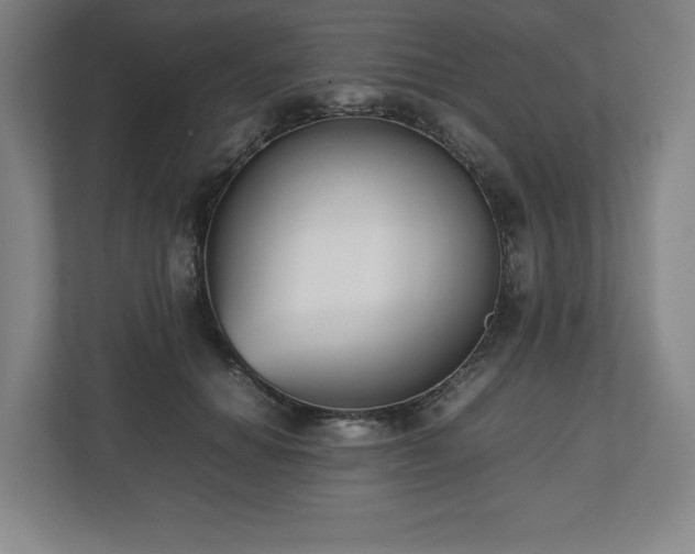 X0000112530654200908241508
