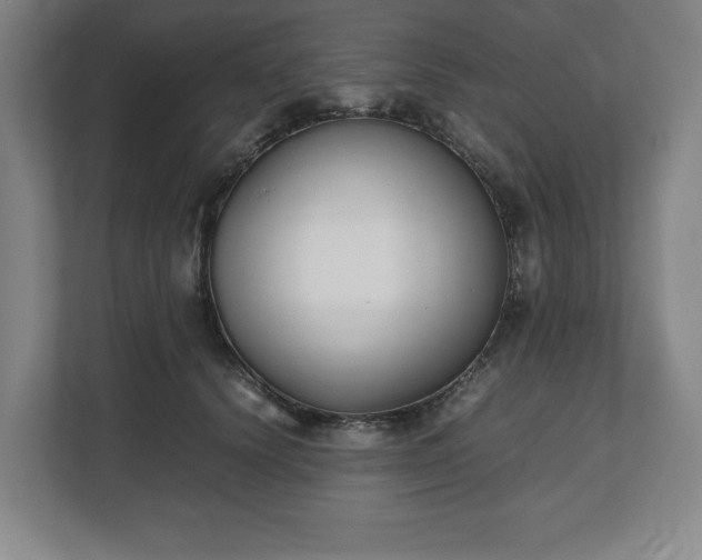 X0000112530656200908241508