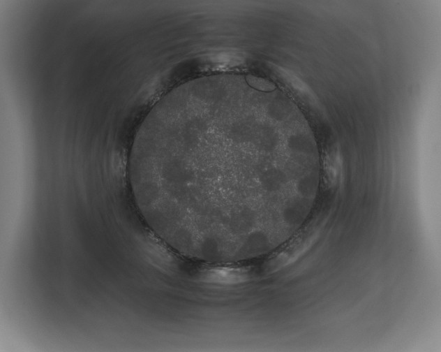 X0000112530657200908241508