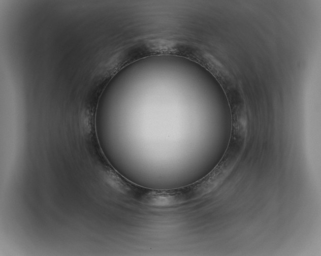 X0000112530658200908241508