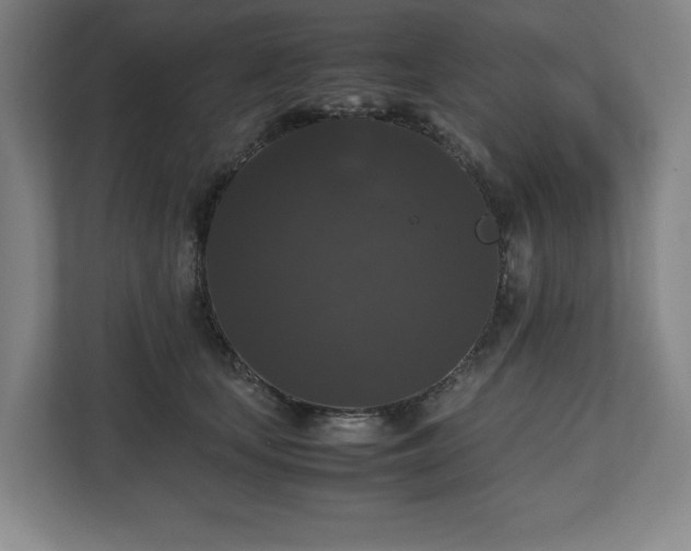 X0000112530659200908241508