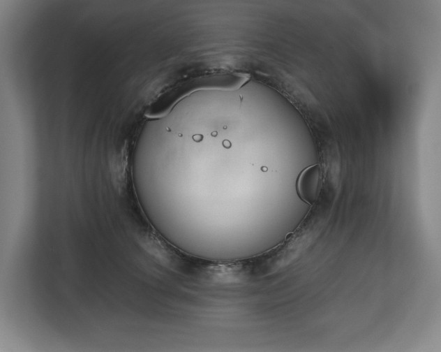 X0000112530660200908241508