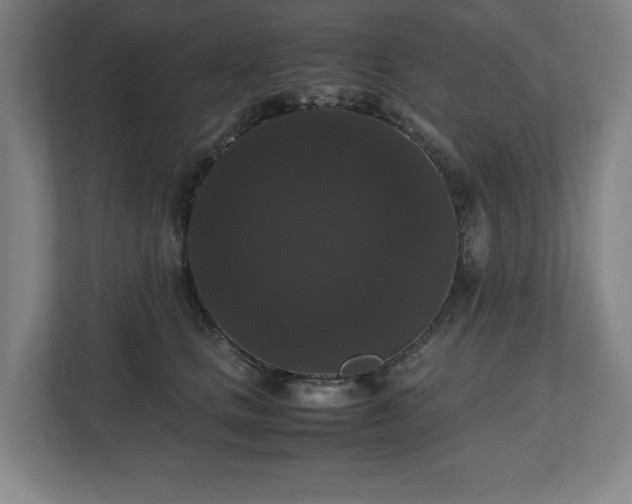 X0000112530661200908241508