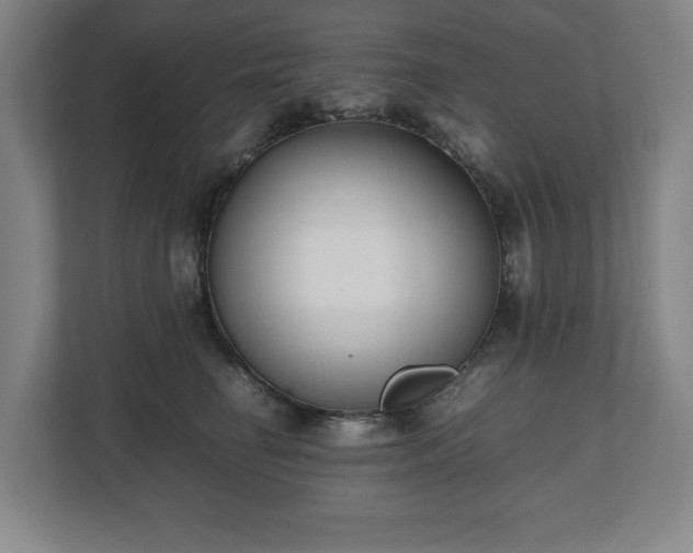 X0000112530662200908241508