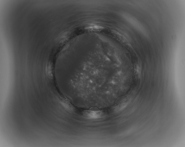 X0000112530663200908241508