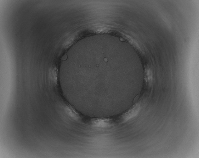 X0000112530664200908241508