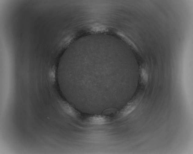 X0000112530668200908241508