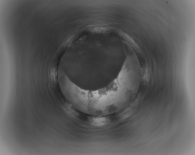 X0000112530669200908241508