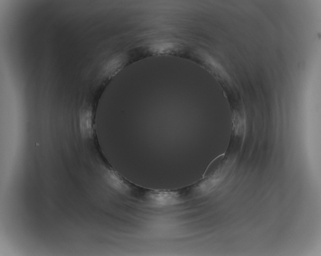 X0000112530670200908241508
