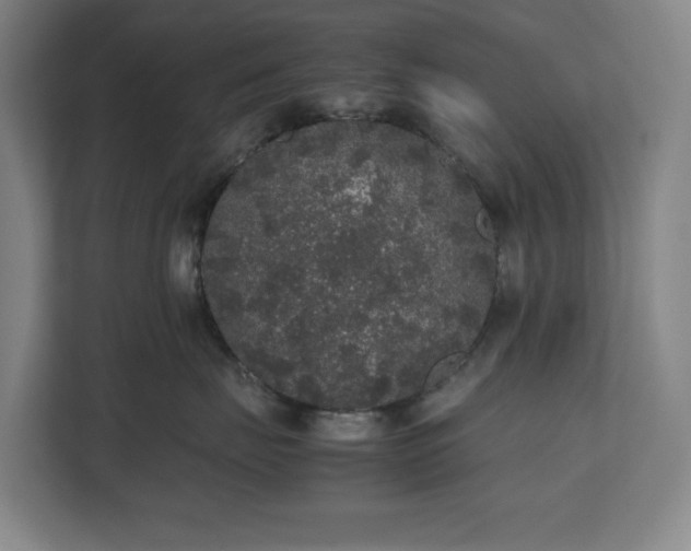 X0000112530671200908241508