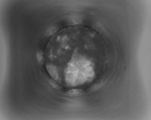 X0000112530672200908241508