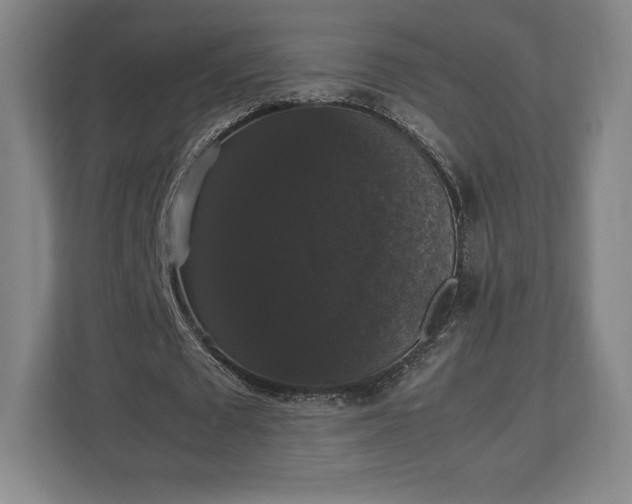 X0000112530673200908241507