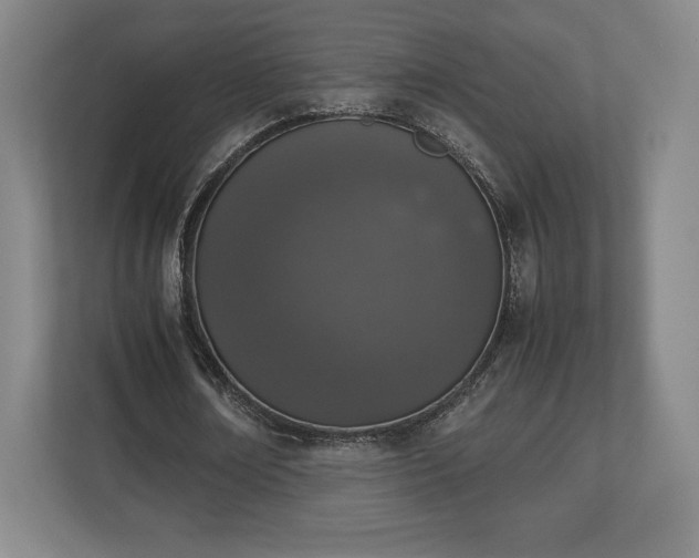 X0000112530674200908241507