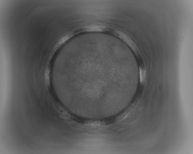 X0000112530675200908241507