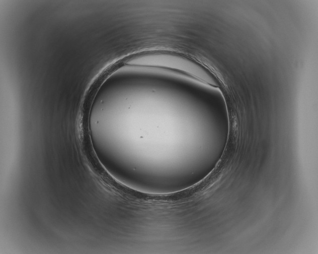 X0000112530676200908241507