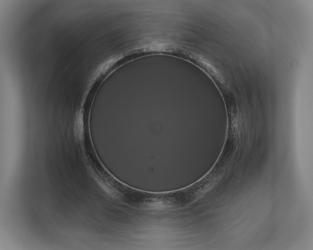 X0000112530678200908241507