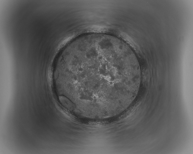 X0000112530679200908241507