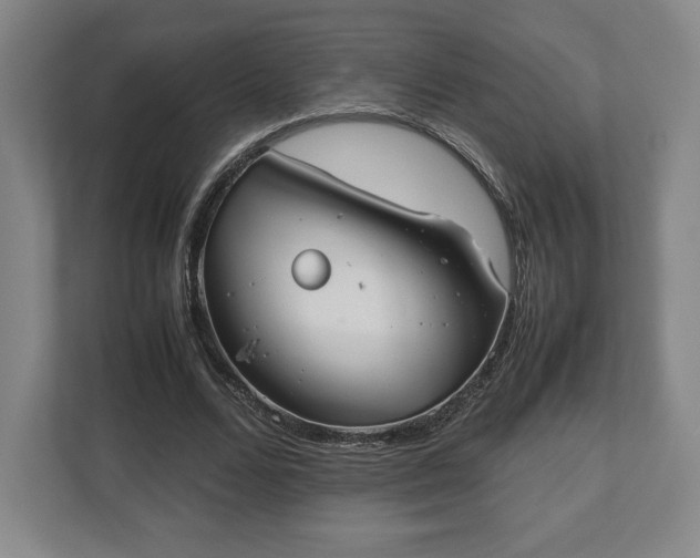 X0000112530680200908241507