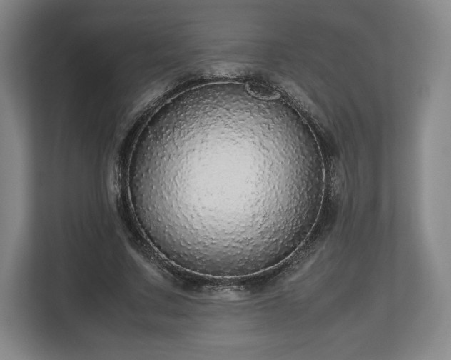 X0000112530683200908241507
