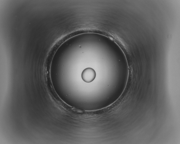 X0000112530684200908241507