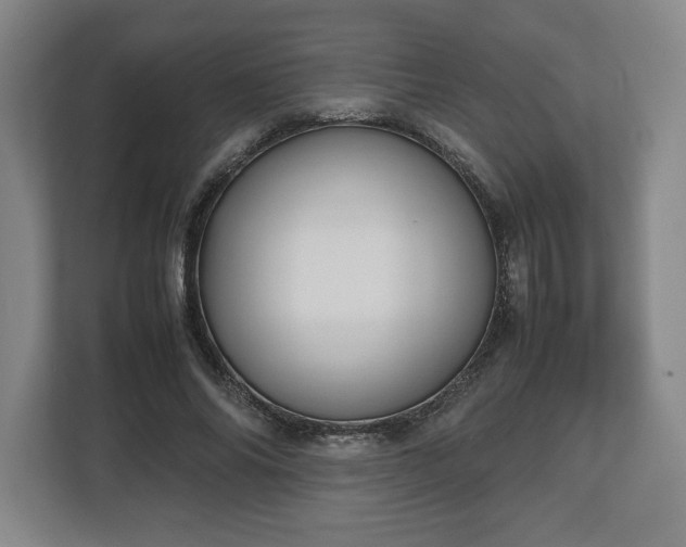 X0000112530686200908241507