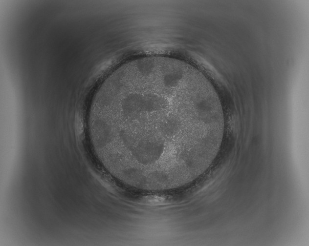 X0000112530687200908241507