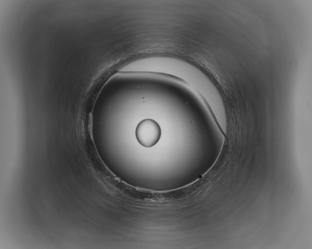 X0000112530688200908241507