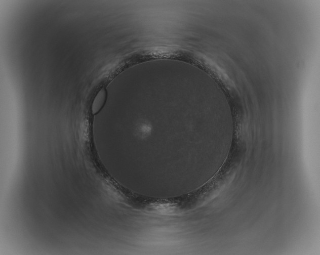X0000112530689200908241507
