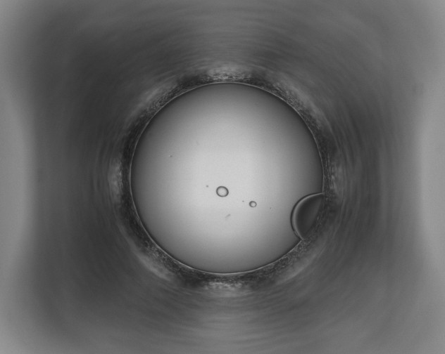 X0000112530690200908241507