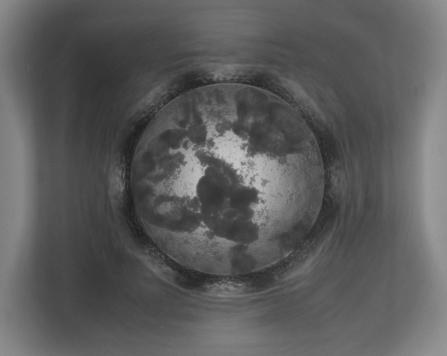 X0000112530691200908241507
