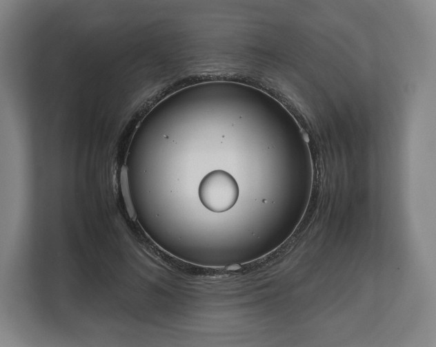 X0000112530692200908241507