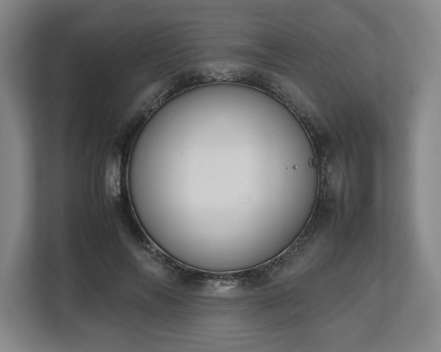 X0000112530694200908241507