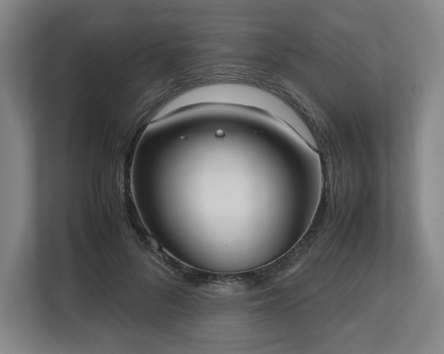 X0000112530696200908241507