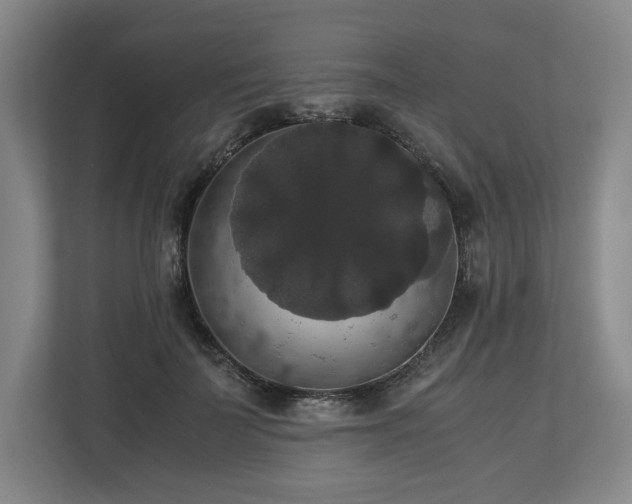 X0000112530699200908241507