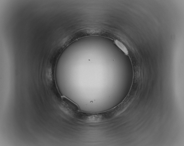 X0000112530700200908241507