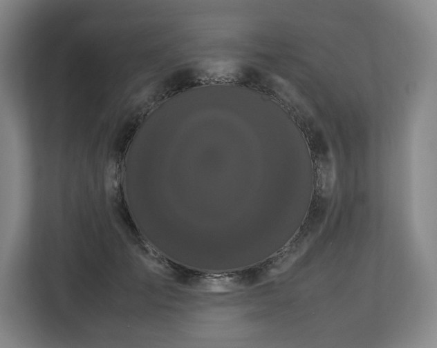 X0000112530701200908241507