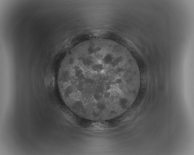 X0000112530703200908241507