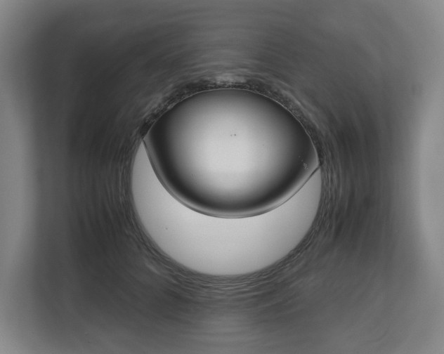 X0000112530704200908241507