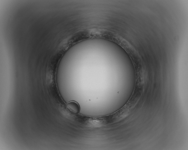 X0000112530706200908241507