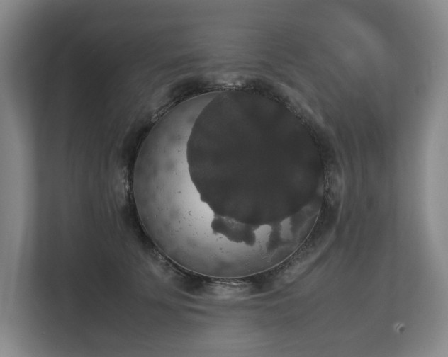 X0000112530707200908241507