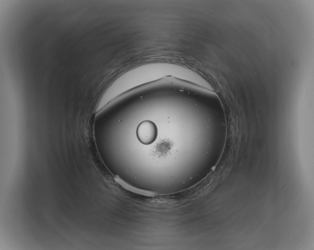 X0000112530708200908241507