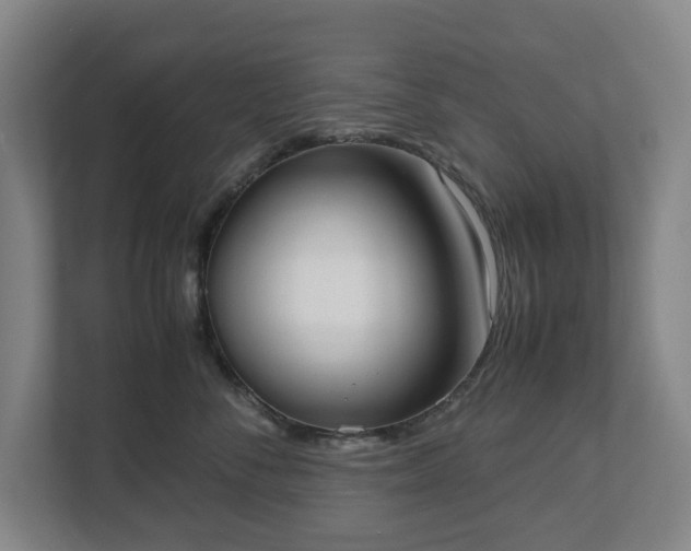 X0000112530716200908241507